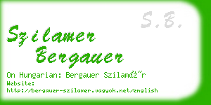 szilamer bergauer business card